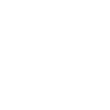 Statistics Circle Icon